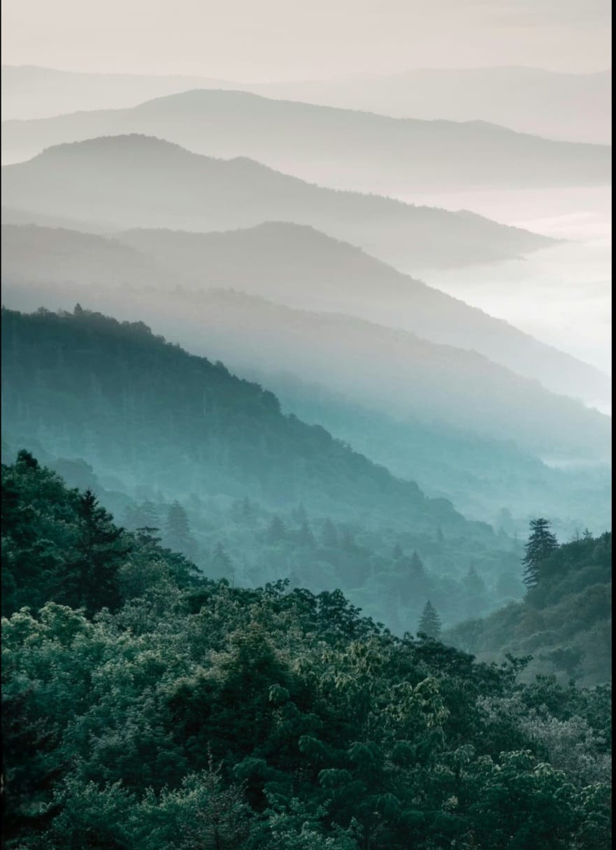 Paysage de montagne - Sérénité